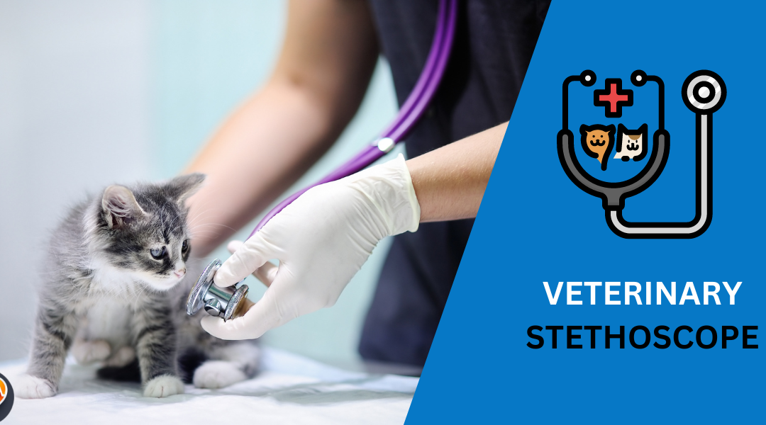 7 Best Veterinary Stethoscopes: Top Picks for 2024