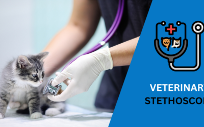 7 Best Veterinary Stethoscopes: Top Picks for 2024